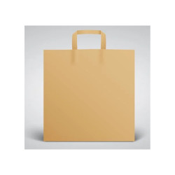 Kraft Take Away Paper Bag With Reinforced Inner Hand 26x14x30 cm. 250 pcs.